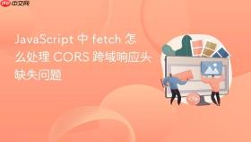 JavaScript 中 fetch 怎么处理 CORS 跨域响应头缺失问题