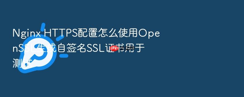 nginx https配置怎么使用openssl生成自签名ssl证书用于测试