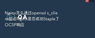 nginx怎么通过openssl s_client验证nginx是否成功staple了ocsp响应
