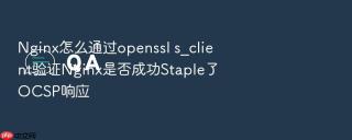 Nginx怎么通过openssl s_client验证Nginx是否成功Staple了OCSP响应
