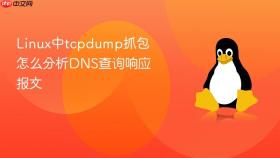 Linux中tcpdump抓包怎么分析DNS查询响应报文