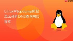 linux中tcpdump抓包怎么分析dns查询响应报文
