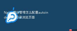 nginx模块管理怎么配置autoindex美化目录浏览页面