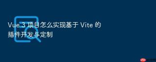 vue 3 项目怎么实现基于 vite 的插件开发与定制