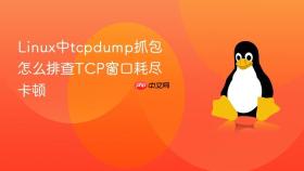 linux中tcpdump抓包怎么排查tcp窗口耗尽卡顿