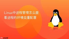 linux中进程管理怎么查看进程的环境变量配置