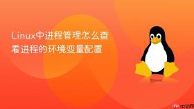 Linux中进程管理怎么查看进程的环境变量配置
