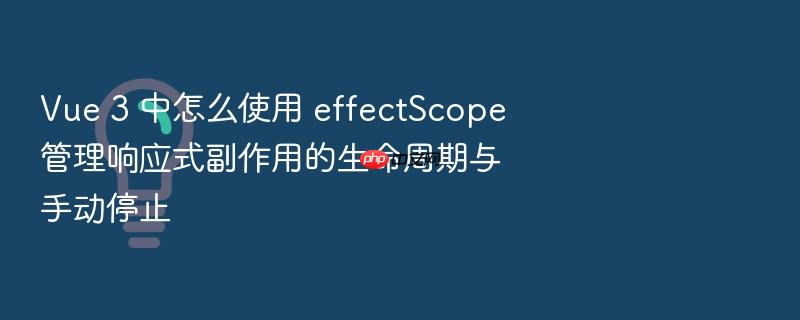 vue 3 中怎么使用 effectscope 管理响应式副作用的生命周期与手动停止