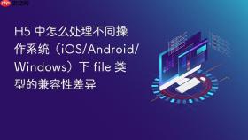 h5 中怎么处理不同操作系统（ios/android/windows）下 file 类型的兼容性差异