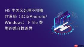 H5 中怎么处理不同操作系统（iOS/Android/Windows）下 file 类型的兼容性差异
