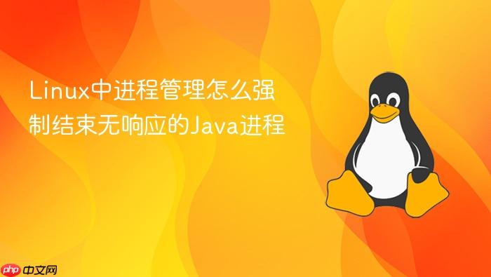 linux中进程管理怎么强制结束无响应的java进程
