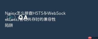 Nginx怎么排查HSTS与WebSocket(wss)协议共存时的兼容性陷阱