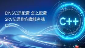 dns记录配置 怎么配置srv记录指向微服务端口