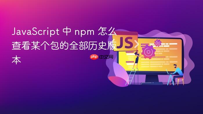 javascript 中 npm 怎么查看某个包的全部历史版本