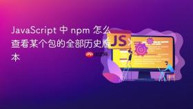 javascript 中 npm 怎么查看某个包的全部历史版本