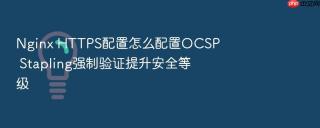 nginx https配置怎么配置ocsp stapling强制验证提升安全等级