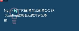Nginx HTTPS配置怎么配置OCSP Stapling强制验证提升安全等级