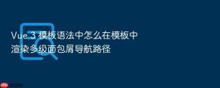 vue 3 模板语法中怎么在模板中渲染多级面包屑导航路径