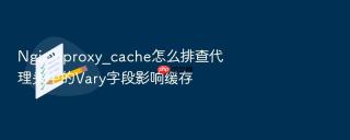 nginx proxy_cache怎么排查代理头中的vary字段影响缓存