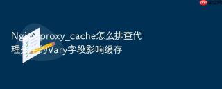 Nginx proxy_cache怎么排查代理头中的Vary字段影响缓存
