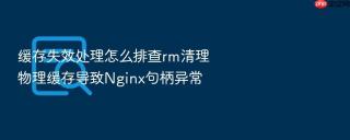 缓存失效处理怎么排查rm清理物理缓存导致Nginx句柄异常