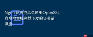 nginx证书链怎么使用openssl命令检查服务器下发的证书链深度