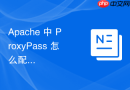 apache 中 proxypass 怎么配置将不同的 api 路径分发到不同的微服务