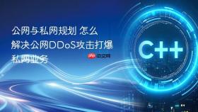 公网与私网规划 怎么解决公网ddos攻击打爆私网业务