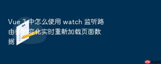 Vue 3 中怎么使用 watch 监听路由参数变化实时重新加载页面数据