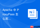 apache 中 proxypass 怎么配置超时时间和连接重试策略