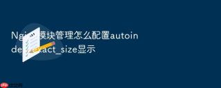nginx模块管理怎么配置autoindex_exact_size显示