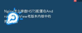nginx怎么排查hsts配置在android webview老版本内核中的死锁闪退