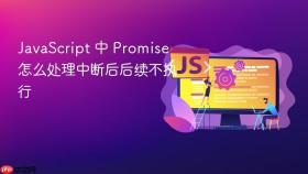 JavaScript 中 Promise 怎么处理中断后后续不执行