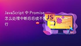 javascript 中 promise 怎么处理中断后后续不执行
