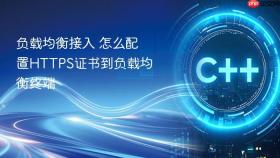 负载均衡接入 怎么配置HTTPS证书到负载均衡终端