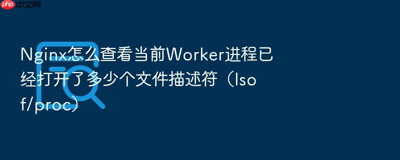 nginx怎么查看当前worker进程已经打开了多少个文件描述符（lsof/proc）