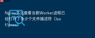 nginx怎么查看当前worker进程已经打开了多少个文件描述符(lsof/proc)