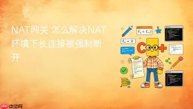 nat网关 怎么解决nat环境下长连接被强制断开