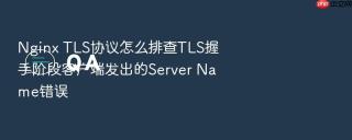 nginx tls协议怎么排查tls握手阶段客户端发出的server name错误