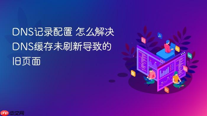 dns记录配置 怎么解决dns缓存未刷新导致的旧页面