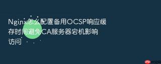 nginx怎么配置备用ocsp响应缓存时间避免ca服务器宕机影响访问