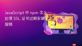 javascript 中 npm 怎么处理 ssl 证书过期安装报错