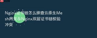 nginx证书链怎么排查云原生mesh网关与nginx双层证书链校验冲突