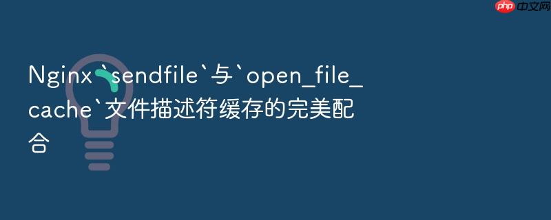 nginx `sendfile`与`open_file_cache`文件描述符缓存的完美配合