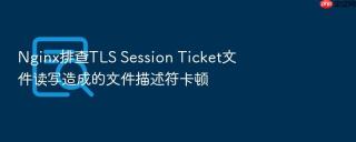 Nginx排查TLS Session Ticket文件读写造成的文件描述符卡顿