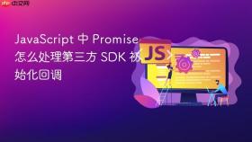 javascript 中 promise 怎么处理第三方 sdk 初始化回调