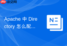 Apache 中 Directory 怎么配合 Require all granted 开放外网访问
