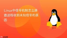 linux中信号机制怎么排查进程收到未知信号的原因