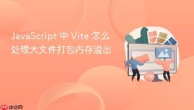javascript 中 vite 怎么处理大文件打包内存溢出