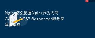 nginx怎么配置nginx作为内网ca时的ocsp responder服务搭建与集成